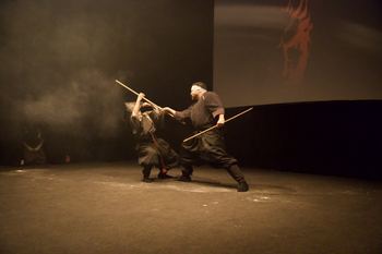 Exhibition (enbu) of classical Japanese martial arts with traditional weapons